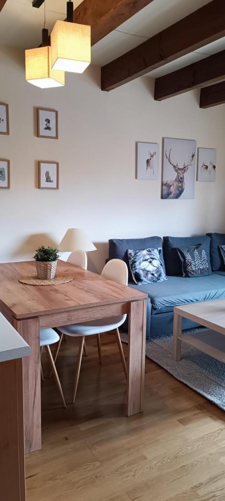 Duplex Familiar Izarraitz Apartment Villanua Luaran gambar